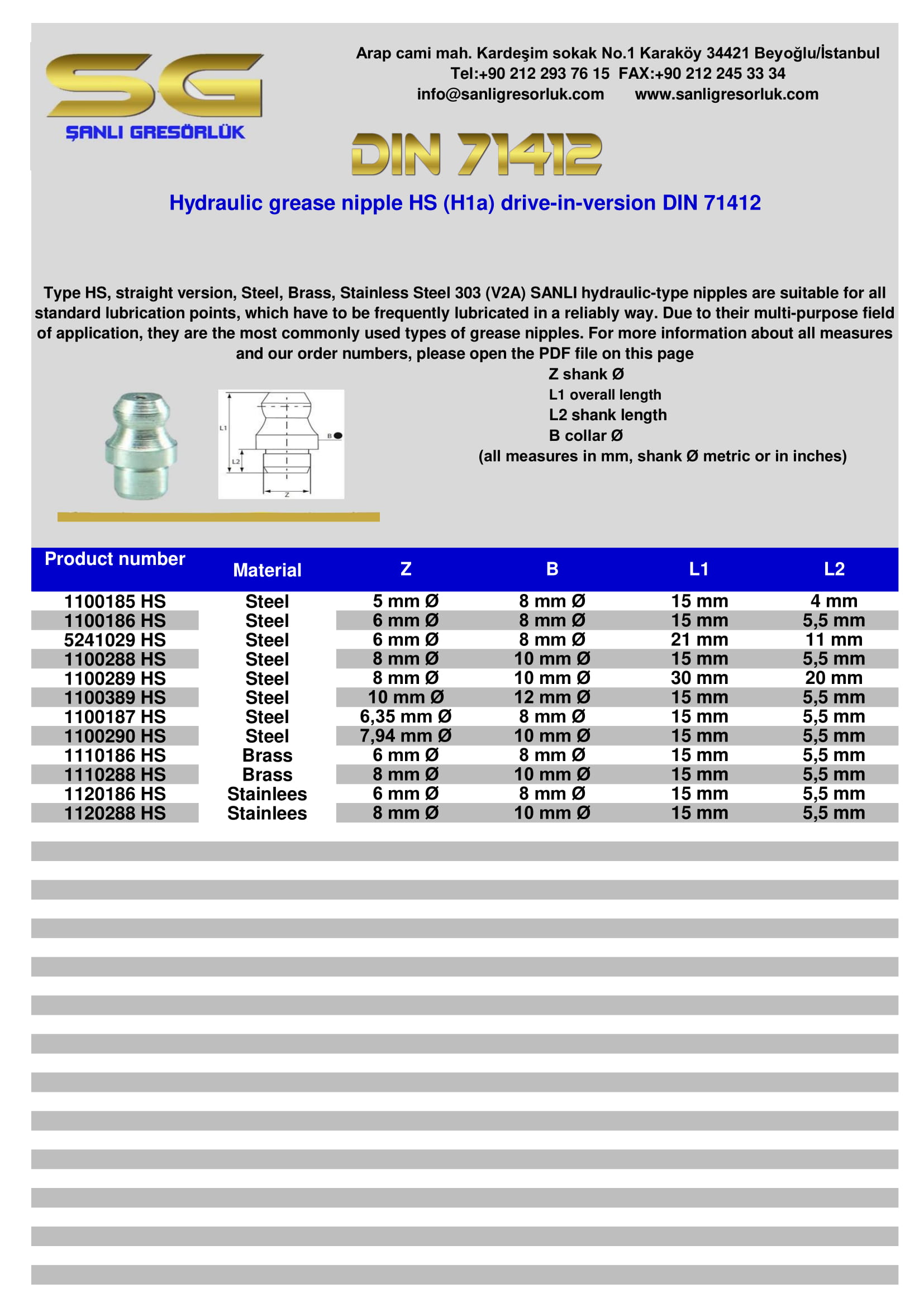 Grease nipple HS (H1a) driveinversion DIN 71412 Şanlı Gresörlük Sanayi