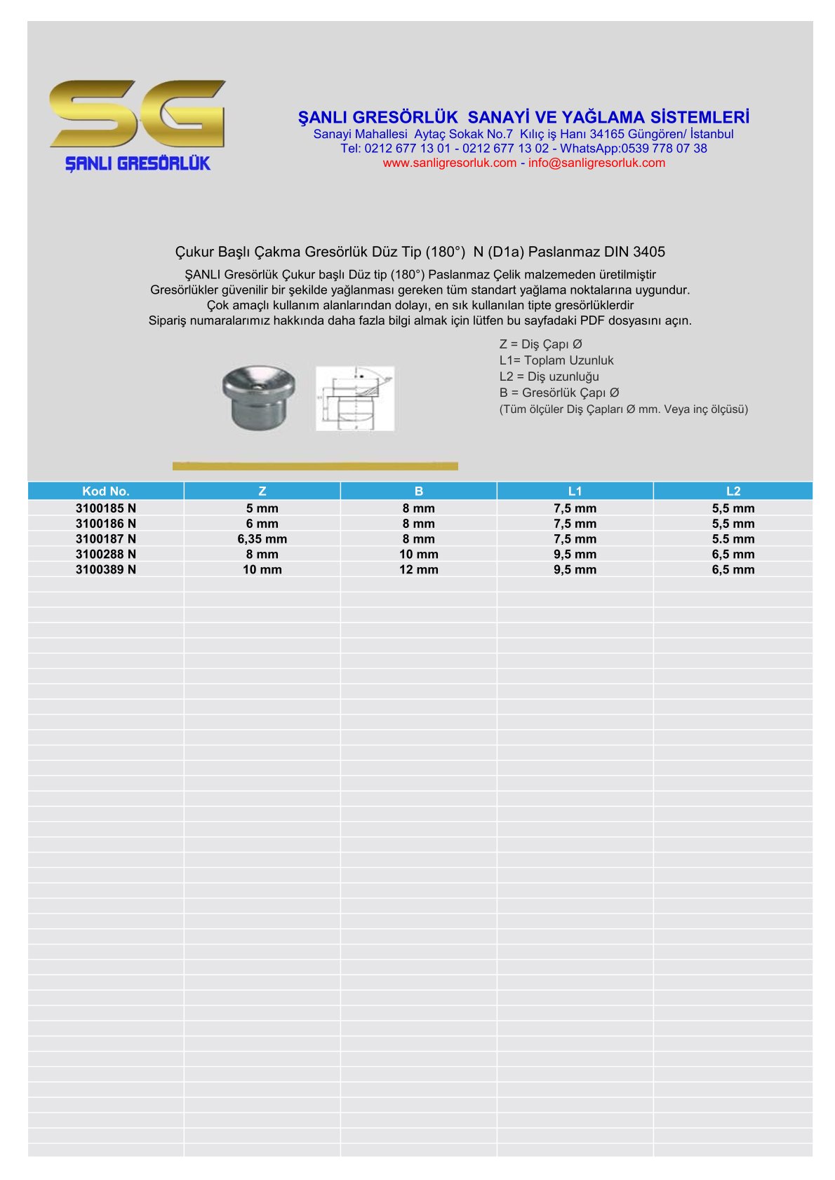 Çukur Başlı Çakma Gresörlük Düz Tip (180°) N (D1a) Paslanmaz DIN 3405