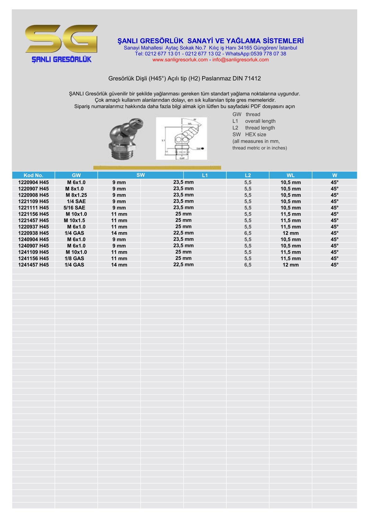 Gresörlük Dişli (H45°) Açılı tip (H2) Paslanmaz DIN 71412
