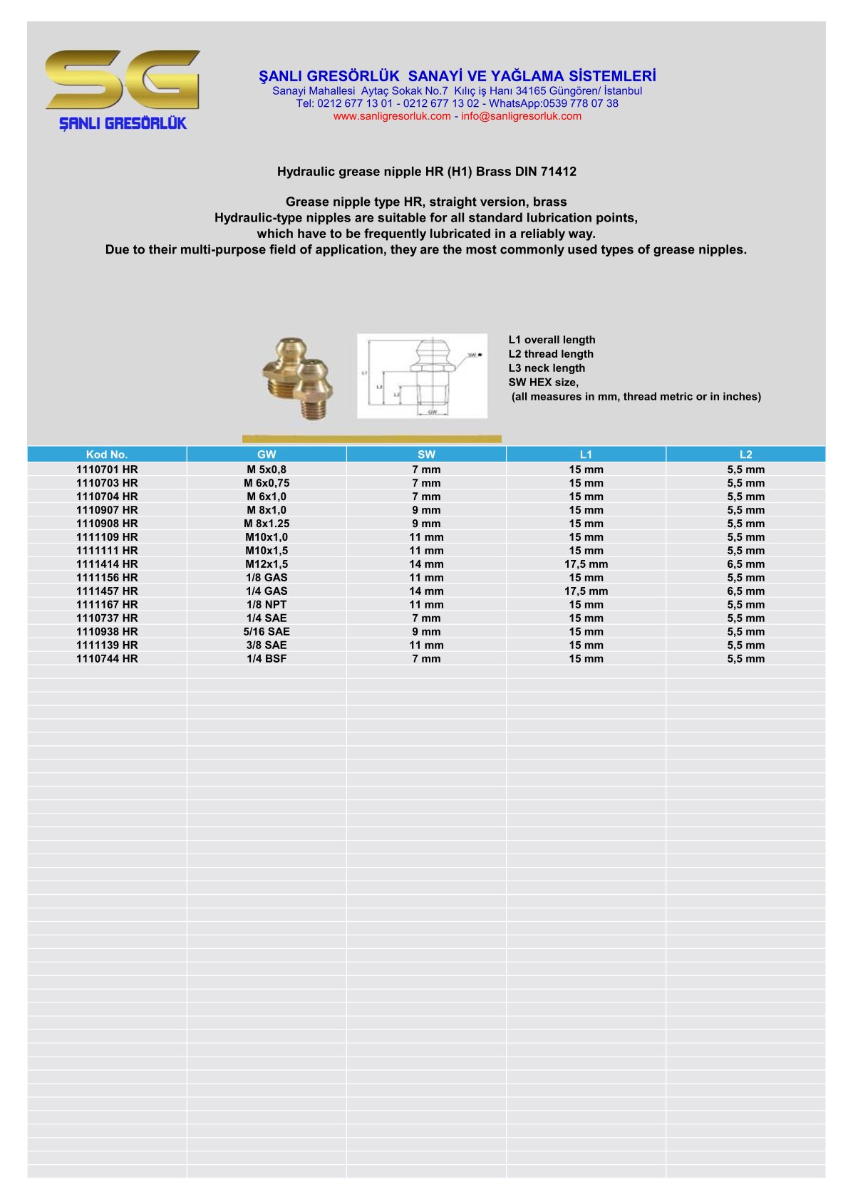 GREASE NIPPLE HR (H1) BRASS DIN 71412