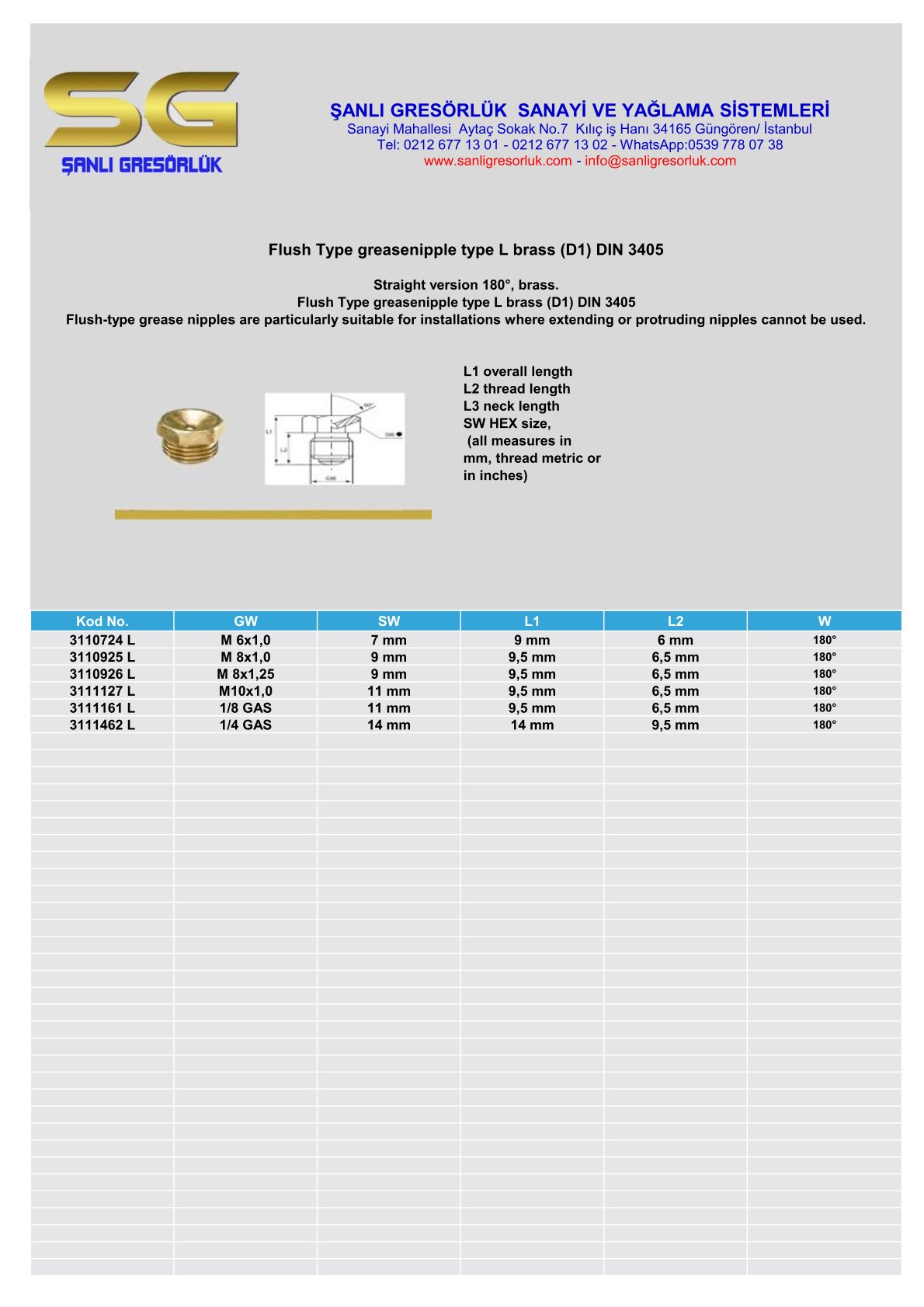 Flush Type greasenipple type L brass (D1) DIN 3405