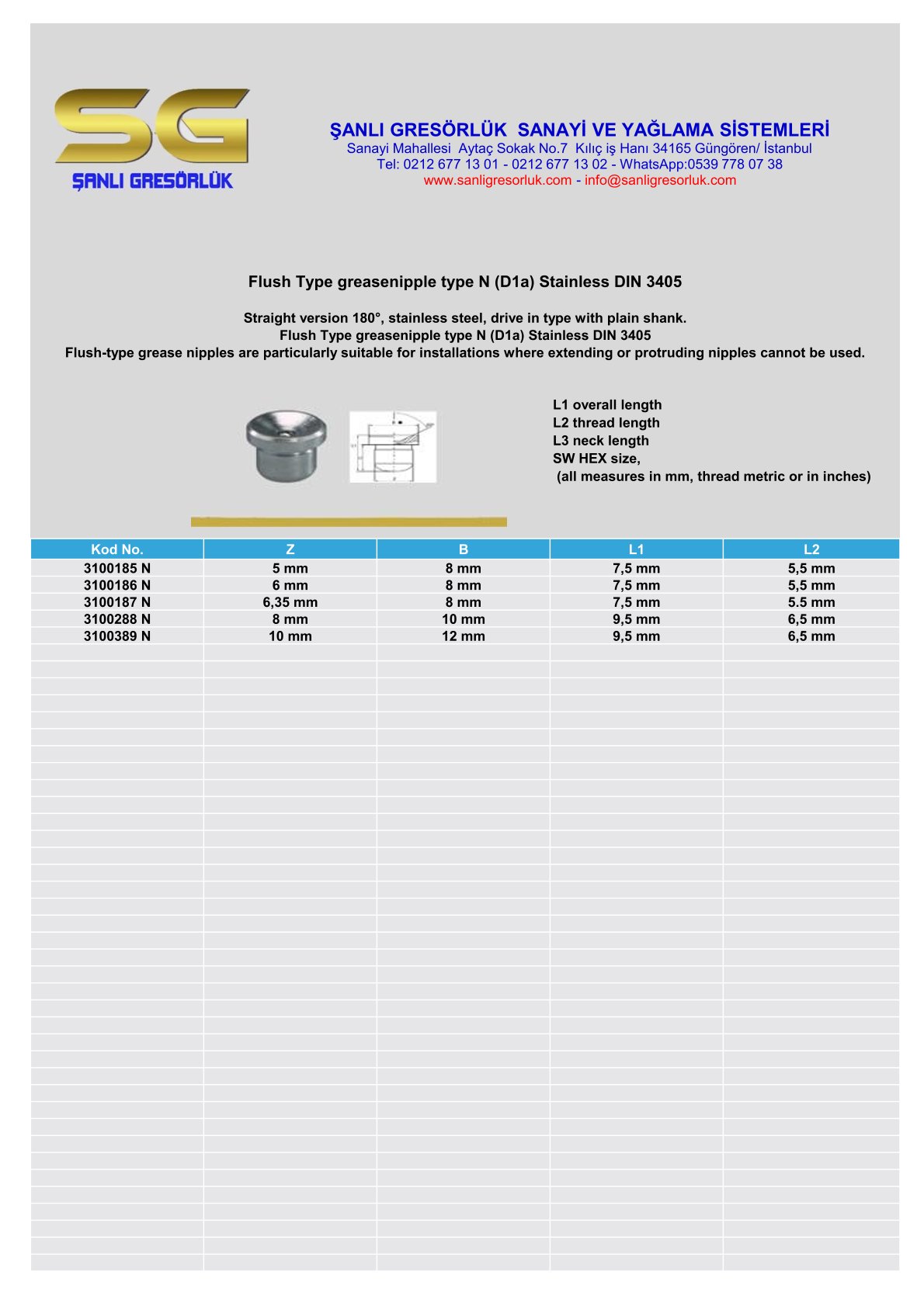 Flush Type greasenipple type N (D1a) Stainless DIN 3405